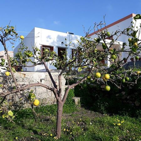 Maria Guesthouse Kini Esterno foto